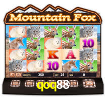 Daily Bonuses qoq88